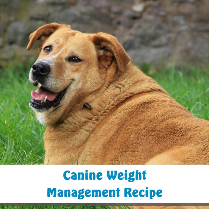 Canine Weight Management Recipe