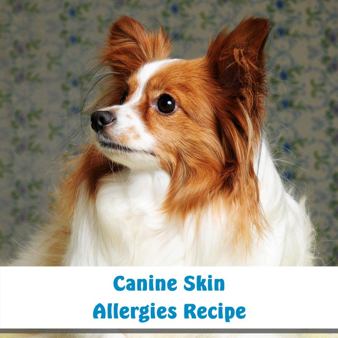 Canine Skin Allergies Recipe