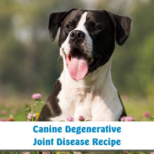 Canine  Degenerative Joint Disease Recipe