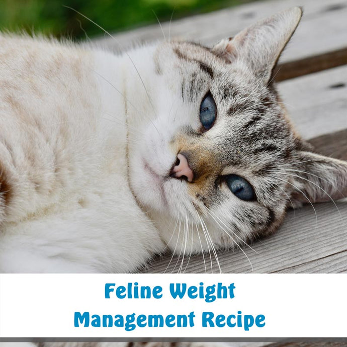 Feline Weight Management Recipe