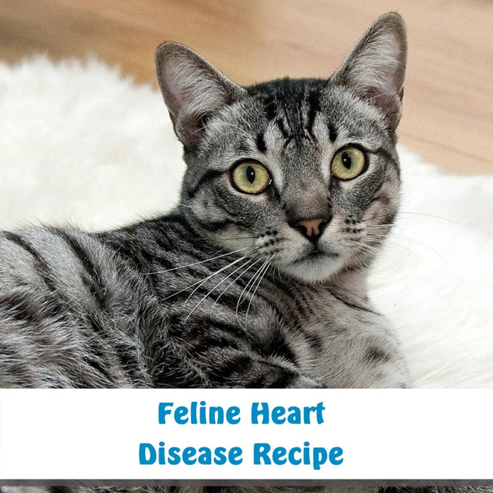 Feline Heart Disease Recipe