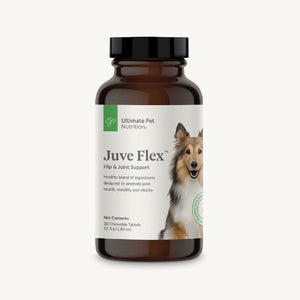 Juve Flex for Dogs